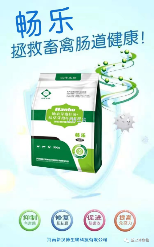 飼料禁抗后，斷奶仔豬腹瀉問(wèn)題將更為嚴(yán)重，養(yǎng)豬人如何應(yīng)對(duì)