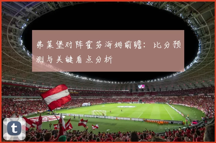 弗莱堡对阵霍芬海姆前瞻：比分预测与关键看点分析