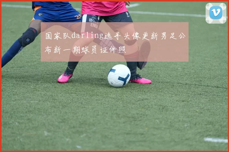 国家队darling选手头像更新男足公布新一期球员证件照