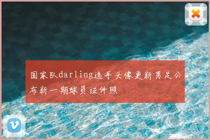 国家队darling选手头像更新男足公布新一期球员证件照