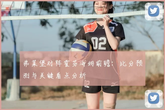 弗莱堡对阵霍芬海姆前瞻：比分预测与关键看点分析