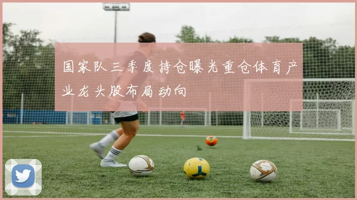 国家队三季度持仓曝光重仓体育产业龙头股布局动向