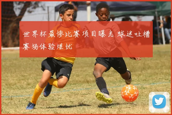 世界杯最惨比赛项目曝光 球迷吐槽赛场体验堪忧