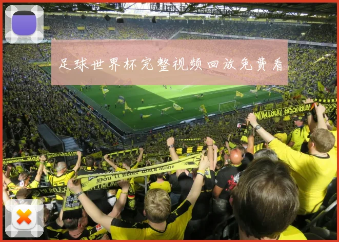 足球世界杯完整视频回放免费看
