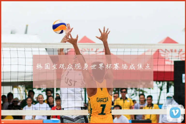 韩国女观众现身世界杯赛场成焦点