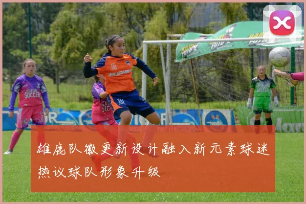 雄鹿队徽更新设计融入新元素球迷热议球队形象升级