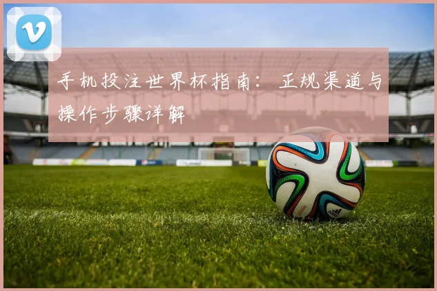 手机投注世界杯指南：正规渠道与操作步骤详解