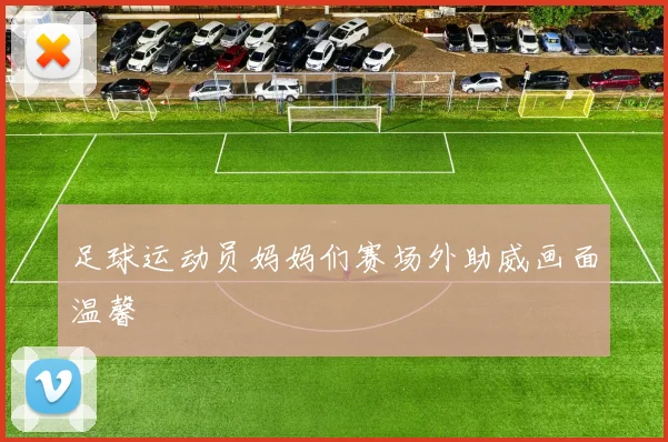 足球运动员妈妈们赛场外助威画面温馨