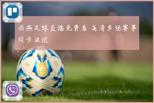 雨燕足球直播免费看 高清多场赛事同步放送