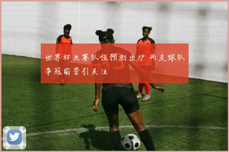 世界杯决赛队伍预测出炉 两支球队争冠前景引关注