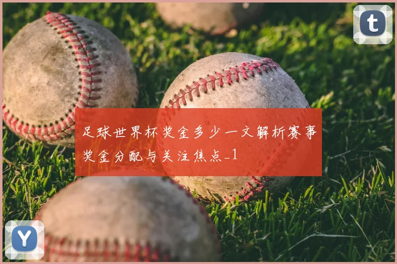 足球世界杯奖金多少一文解析赛事奖金分配与关注焦点_1