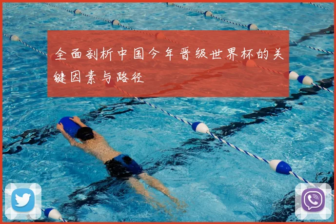 全面剖析中国今年晋级世界杯的关键因素与路径