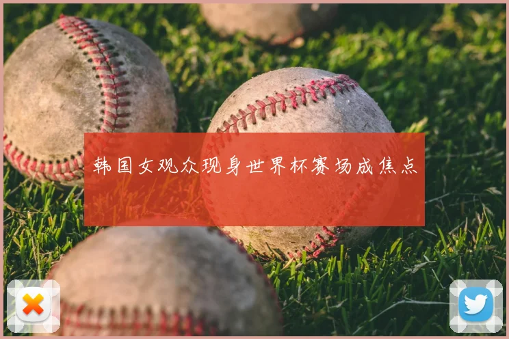 韩国女观众现身世界杯赛场成焦点
