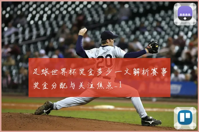 足球世界杯奖金多少一文解析赛事奖金分配与关注焦点_1