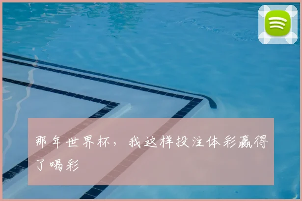 那年世界杯,我这样投注体彩赢得了喝彩